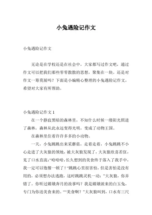 小兔遇险记作文
