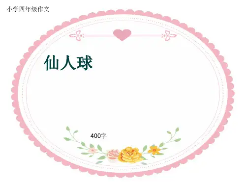 小学四年级作文《仙人球》400字(共8页PPT)