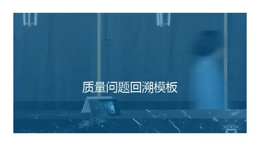 质量问题回溯模板