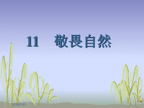 人教版部编版八年级下册语文《敬畏自然》精品PPT教学课件