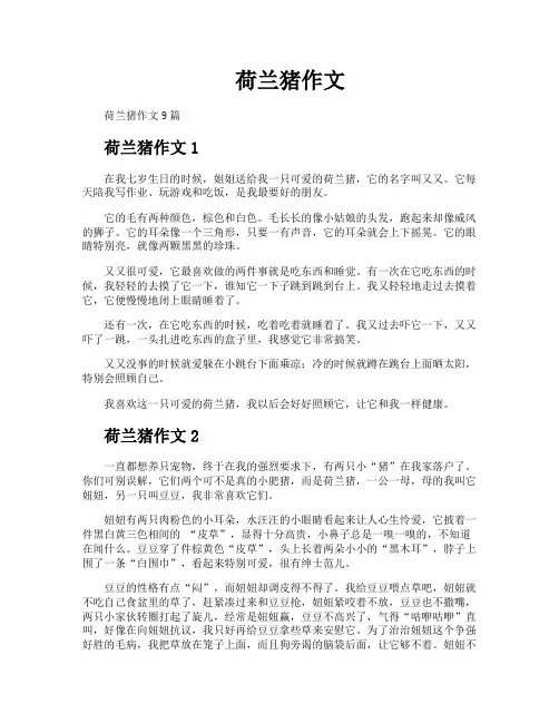 荷兰猪作文
