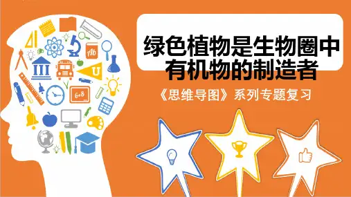 人教版七年级生物上册《思维导图 绿色植物是生物圈中有机物的制造者》课件