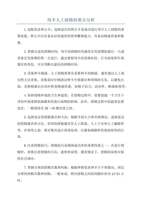 母羊人工授精的要点分析