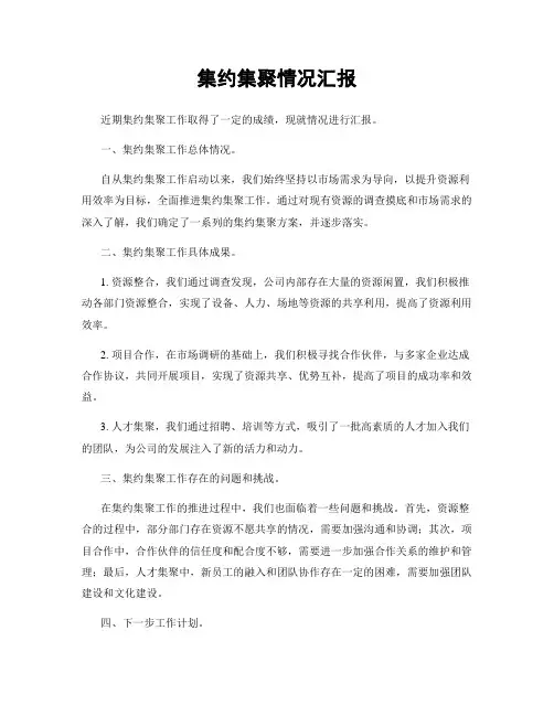 集约集聚情况汇报