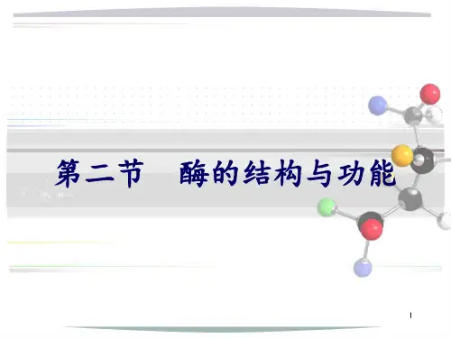 酶的分子结构与功能