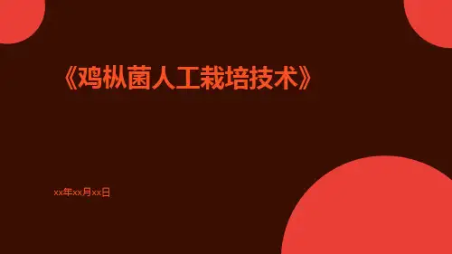 鸡枞菌人工栽培技术