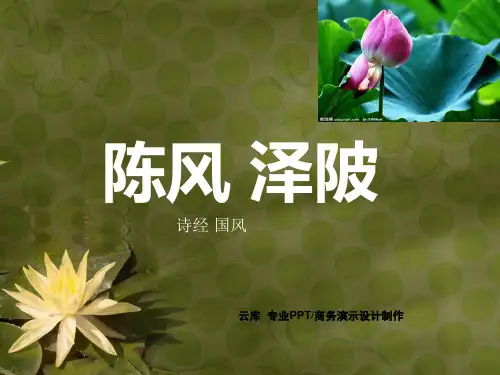 彼泽之陂有蒲与荷有美一人-诗经