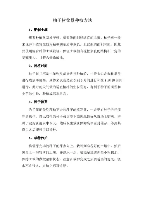 柚子树盆景种植方法