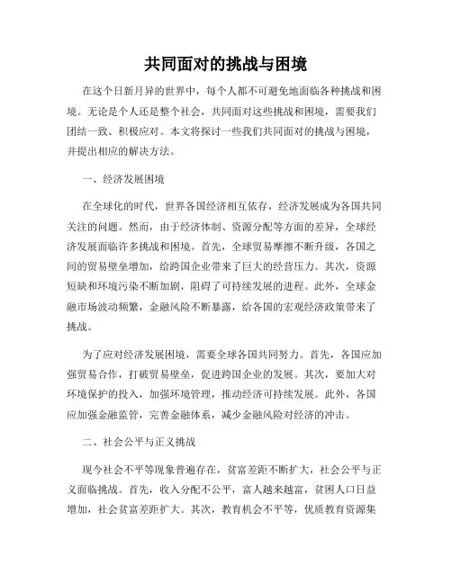 共同面对的挑战与困境