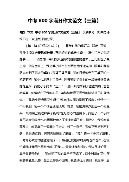 中考800字满分作文范文【三篇】