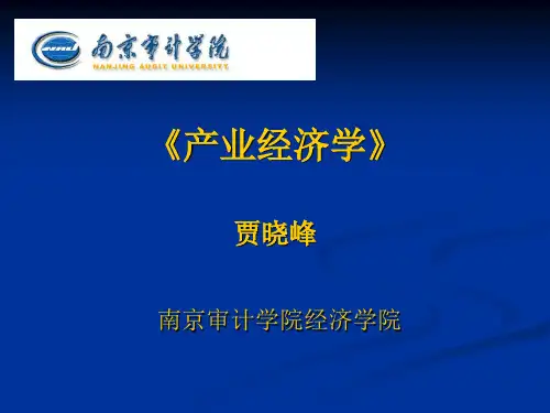产业经济学课程第一章pPT