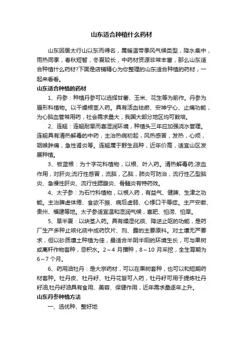 山东适合种植什么药材