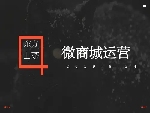 微商城运营思路ppt