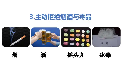 统编版五年级上册1.3《主动拒绝烟酒与毒品》 课件(共21张PPT).ppt