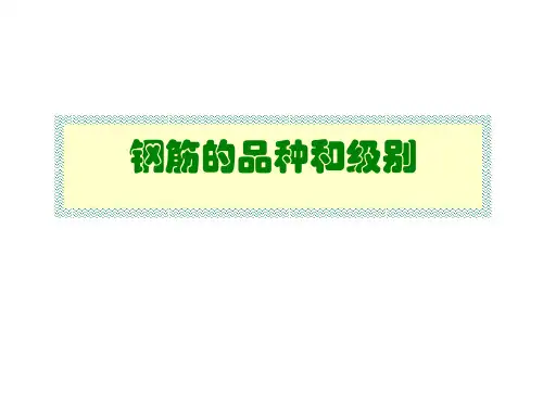 钢筋的品种和级别