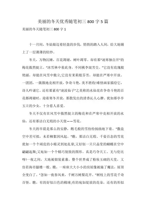 美丽的冬天优秀随笔初三800字5篇
