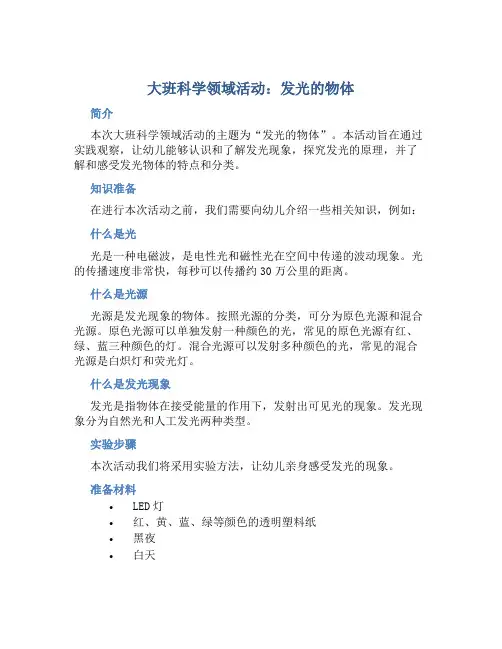大班科学领域活动：发光的物体