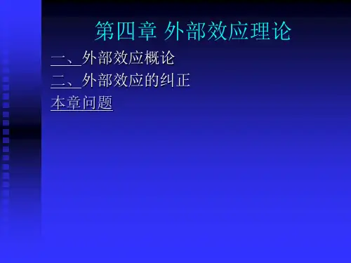 第4章 外部效应理论
