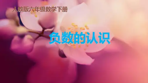 六年级下册数学第1章《负数》人教新课标ppt(荐)(14张)标准课件