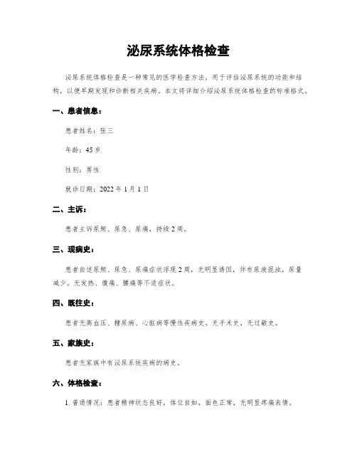 泌尿系统体格检查
