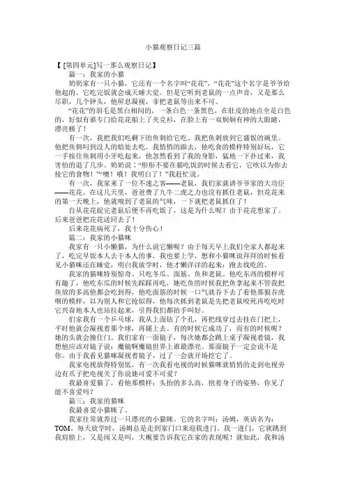 小猫观察日记三篇