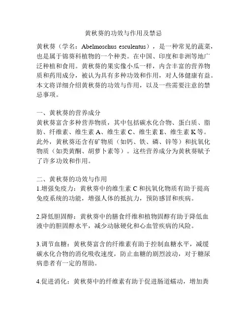 黄秋葵的功效与作用及禁忌