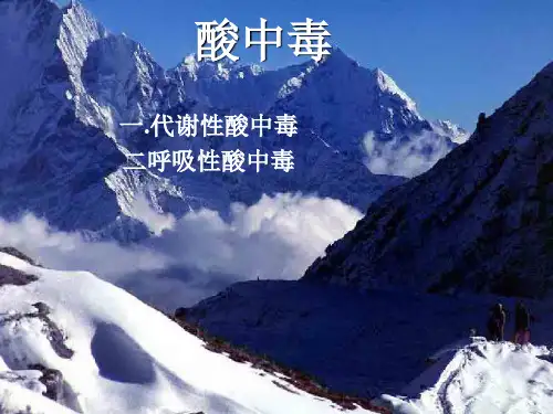 酸中毒