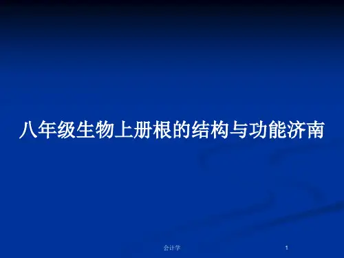 八年级生物上册根的结构与功能济南PPT教案