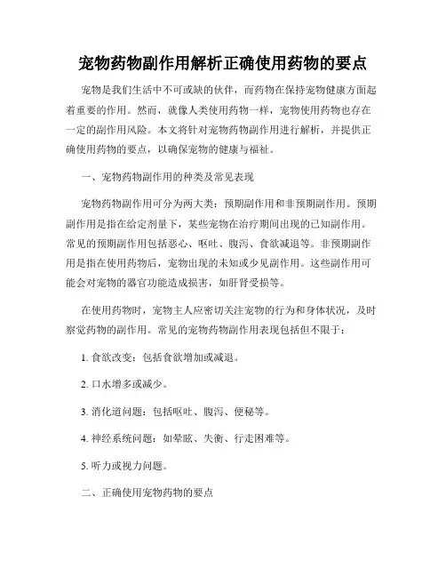 宠物药物副作用解析正确使用药物的要点