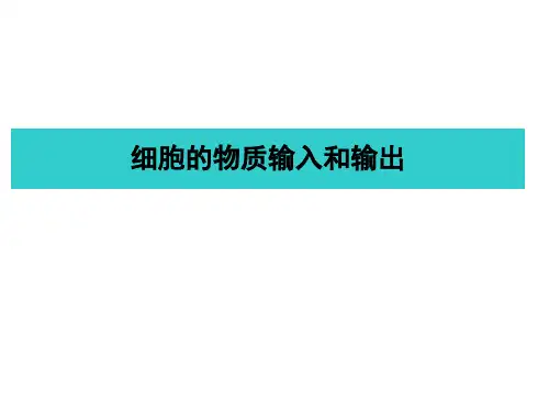 细胞的吸水和失水