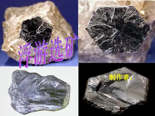 浮游选矿ppt课件