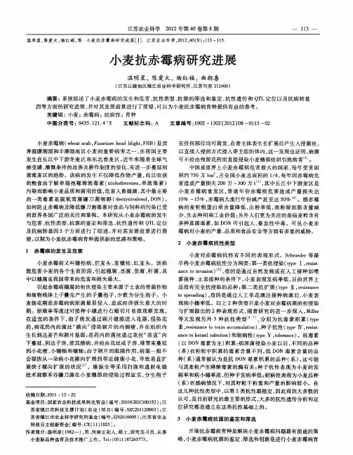 小麦抗赤霉病研究进展