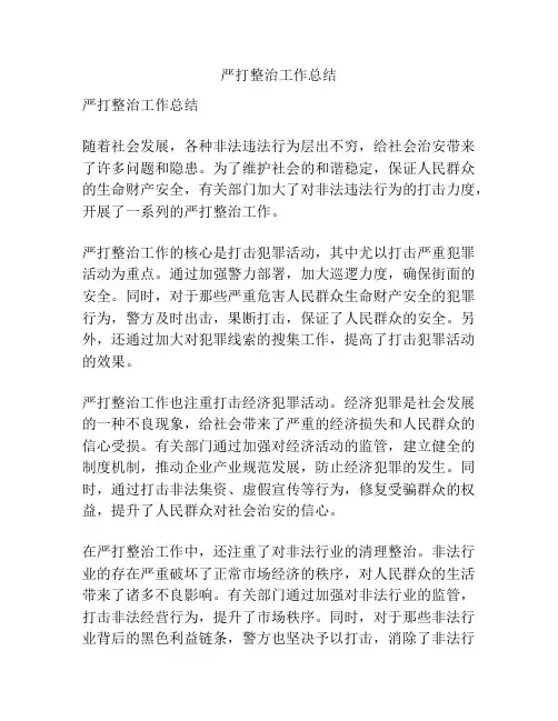 严打整治工作总结