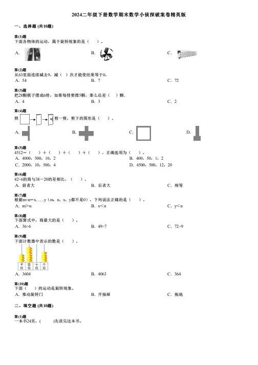 2024二年级下册数学期末数学小侦探破案卷精英版