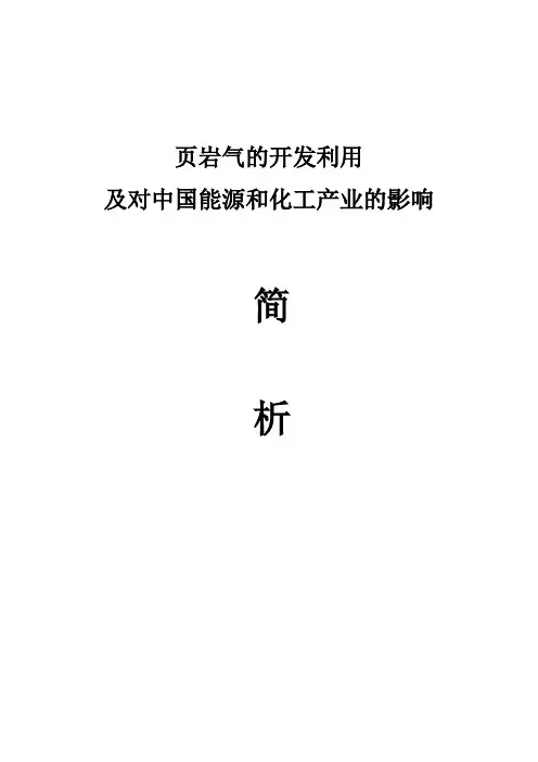 页岩气的开发利用及对中国能源和化工产业的影响简析