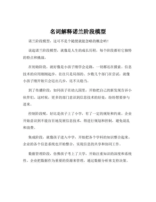 名词解释诺兰阶段模型
