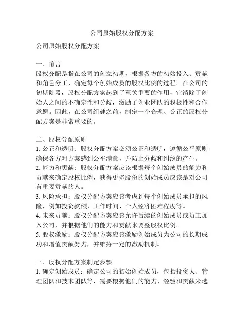 公司原始股权分配方案