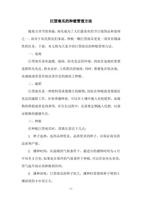 巨型南瓜的种植管理方法