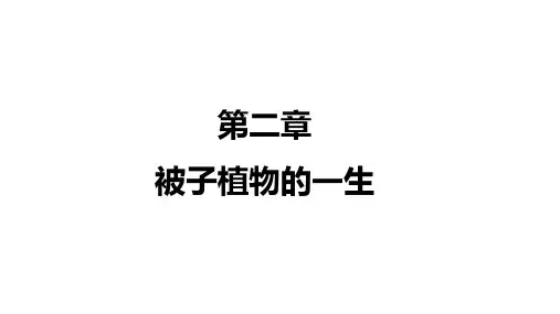 2020中考生物一轮复习课件  ：第二章 被子植物的一生