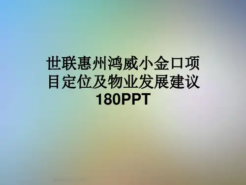 世联惠州鸿威小金口项目定位及物业发展建议180PPT