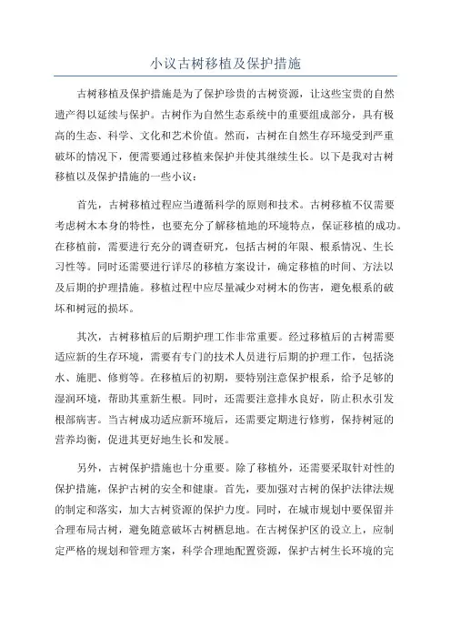 小议古树移植及保护措施