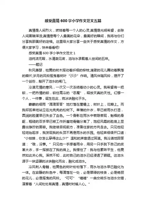 感受真情600字小学作文范文五篇