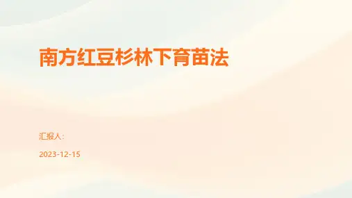 南方红豆杉林下育苗法
