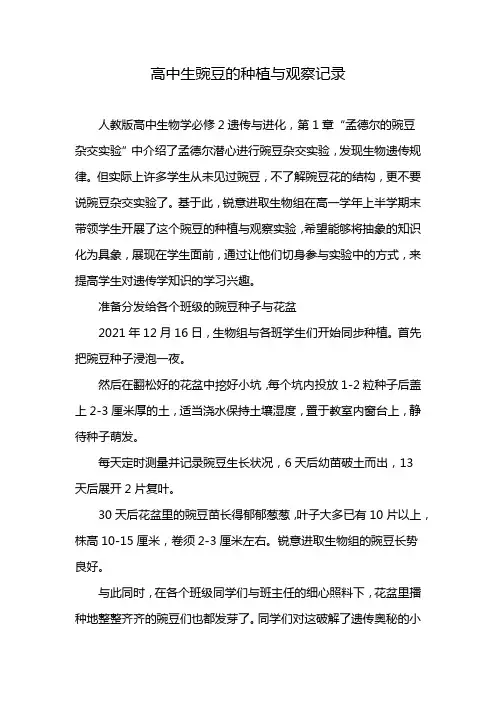 高中生豌豆的种植与观察记录