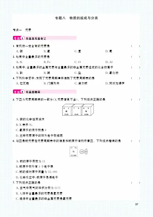 初中化学中考复习 2023化学中考集训：专题八 物质的组成与分类(PDF原卷版)