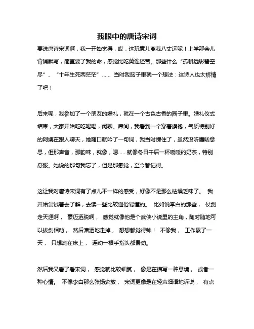作文《我眼中的唐诗宋词》