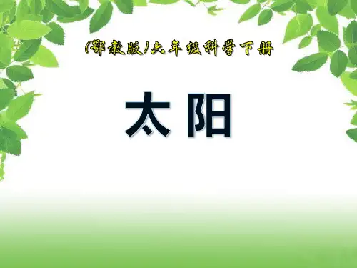 《太阳》PPT课件16-完美版