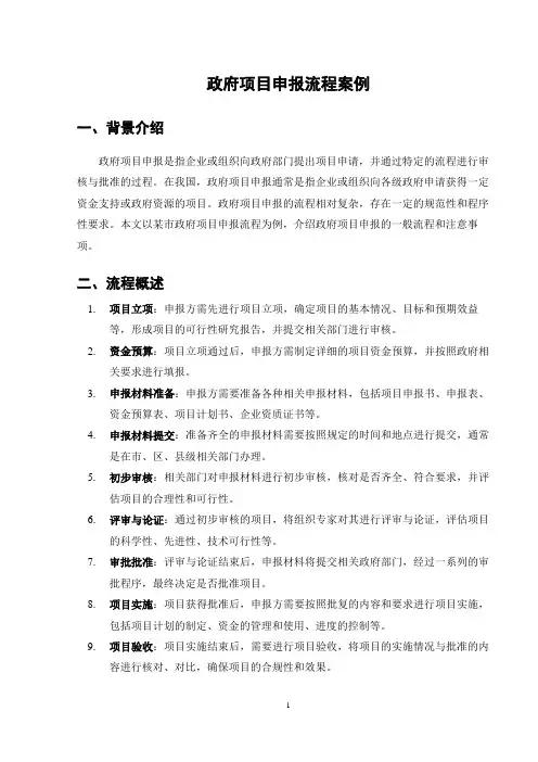 政府项目申报流程案例