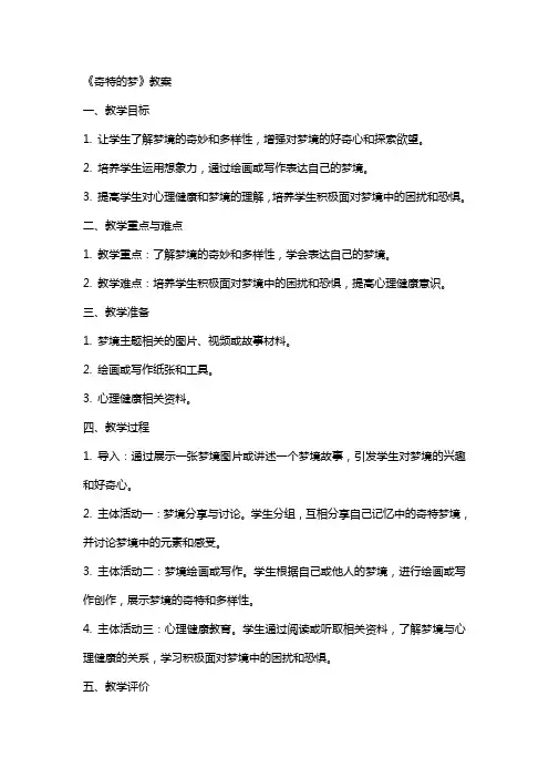 《奇特的梦》教案