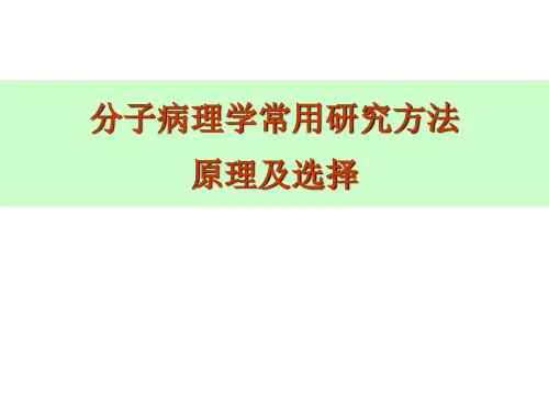 分子病理学常用研究技巧道理及应用